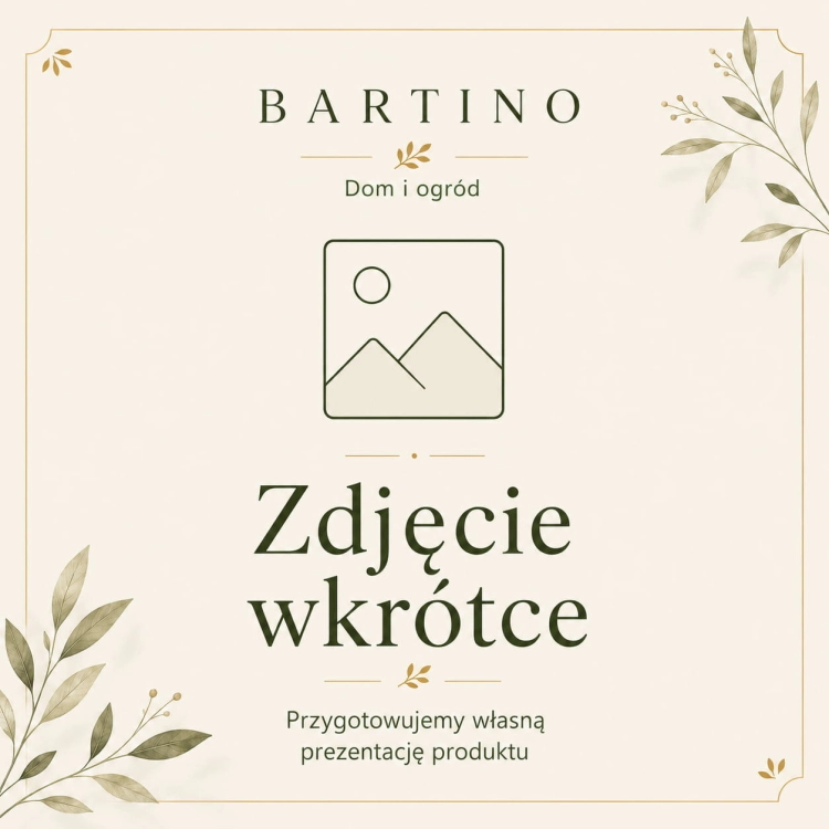zdjecie-wkrotce3.jpg